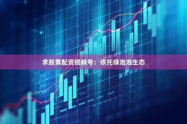 求股票配资视频号：依托绿泡泡生态