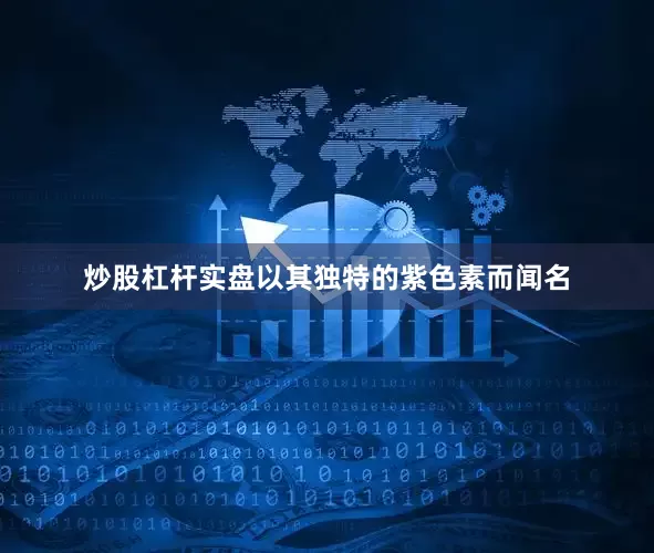 炒股杠杆实盘以其独特的紫色素而闻名